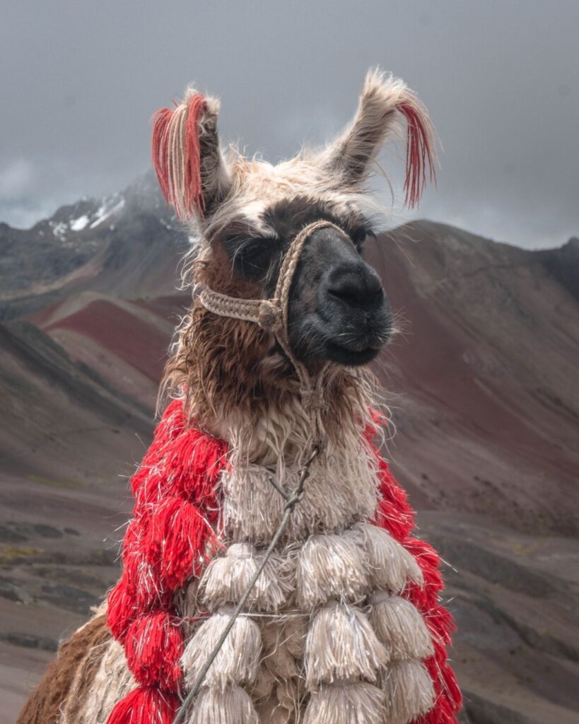 Cusco Mágico 5 Días y 4 Noches